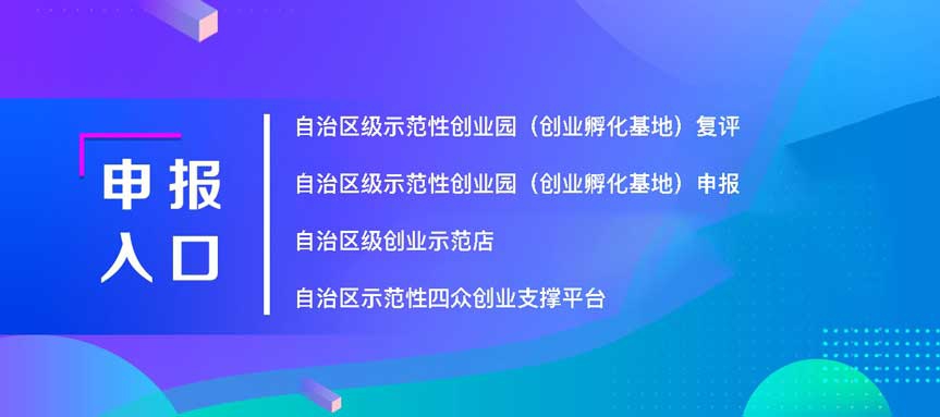 企业申报入口