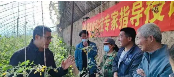 图片.png
